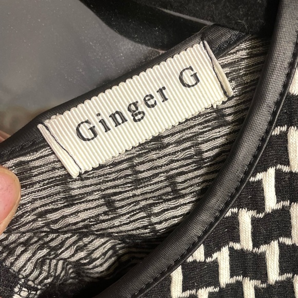 Ginger G - Black and White High waisted A-line Dress - Size Small - Picture 3 of 4